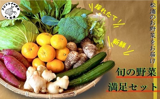【A6-010】道の駅松浦海のふるさと館『旬のお野菜』の大満足セット！